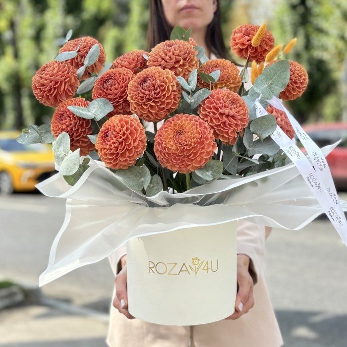 15 георгин коричнево-желтый помпон в коробке