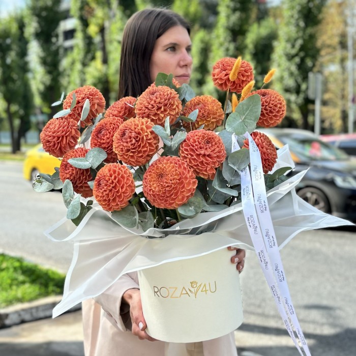 15 георгин коричнево-желтый помпон в коробке