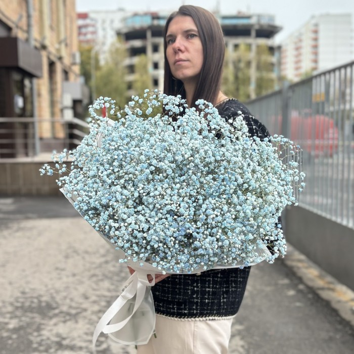 15 голубых гипсофил в упаковке