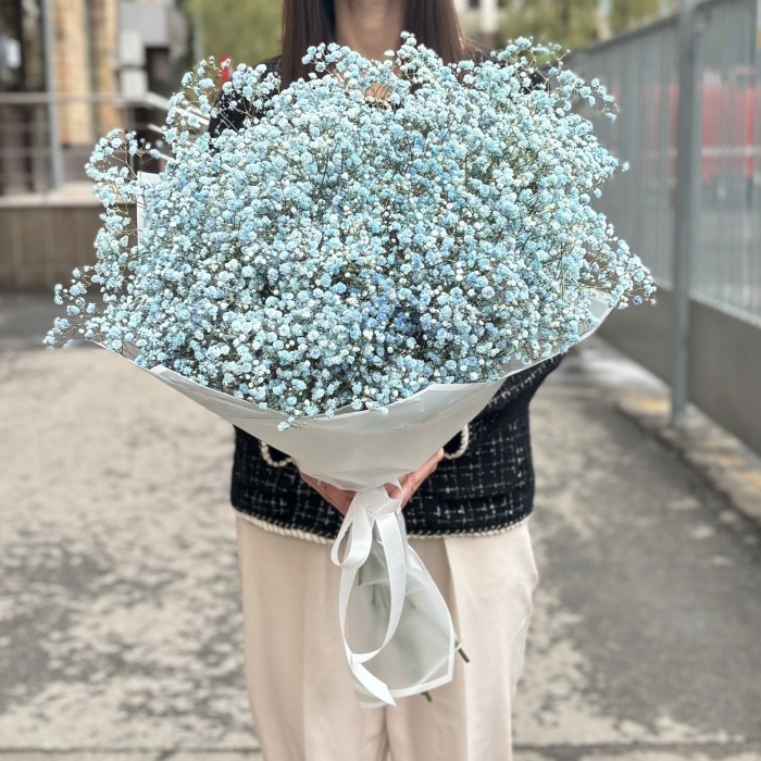 15 голубых гипсофил в упаковке