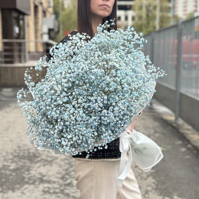 15 голубых гипсофил в упаковке