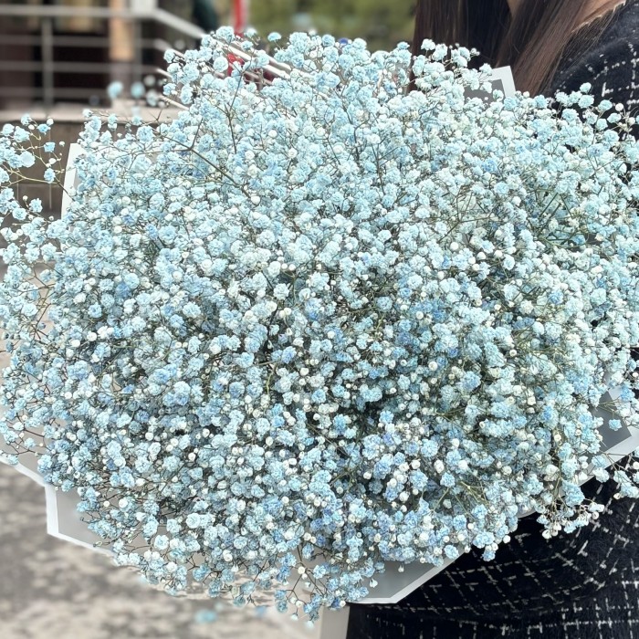 15 голубых гипсофил в упаковке