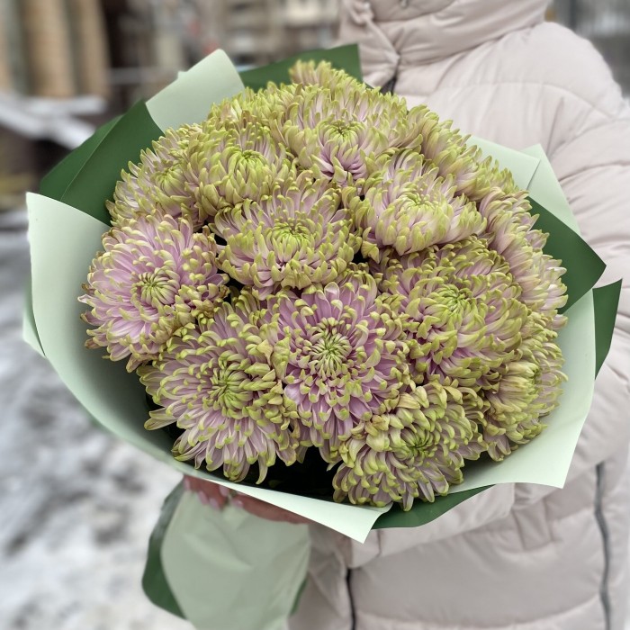 15 сиренево-зеленых  хризантем Зембла