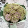 15 сиренево-зеленых  хризантем Зембла