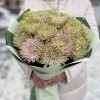 15 сиренево-зеленых  хризантем Зембла