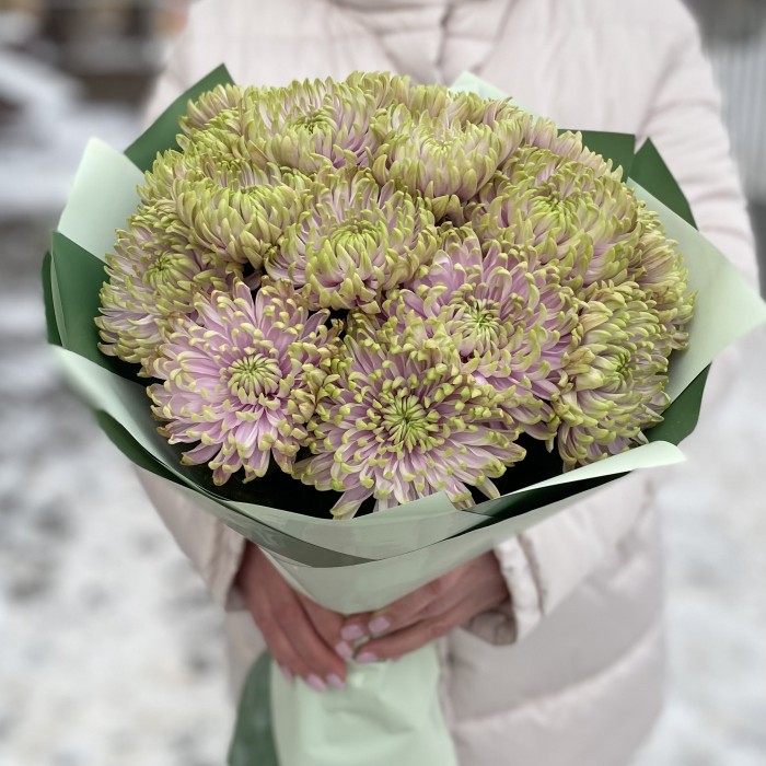 15 сиренево-зеленых  хризантем Зембла