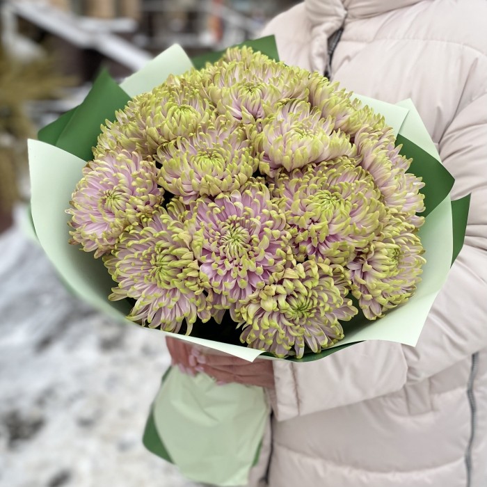 15 сиренево-зеленых  хризантем Зембла