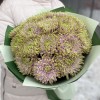 15 сиренево-зеленых  хризантем Зембла