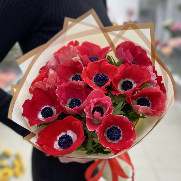 15 красных анемонов