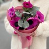 5 малиновых анемонов с эвкалиптом