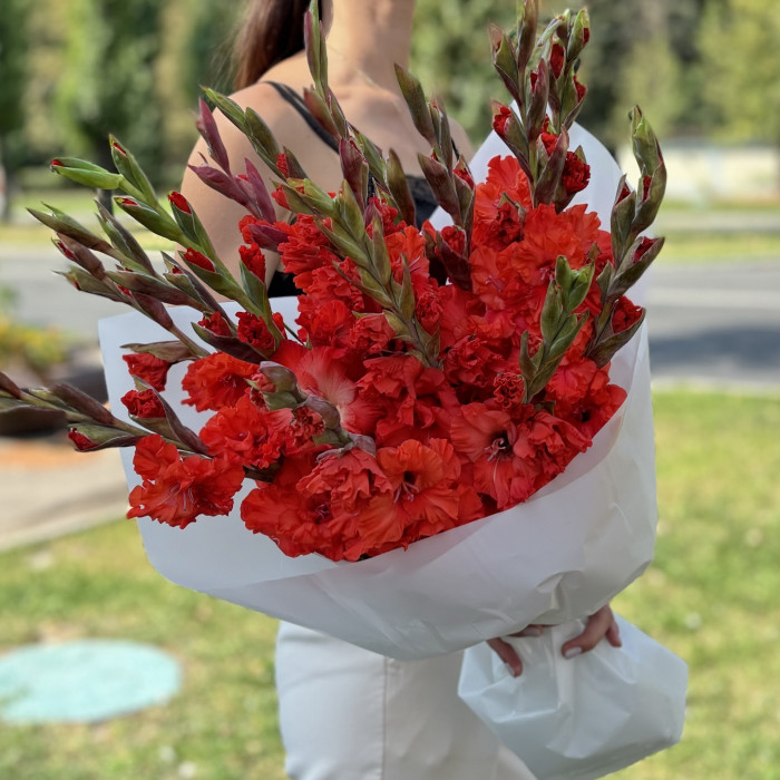 15 красных гладиолусов