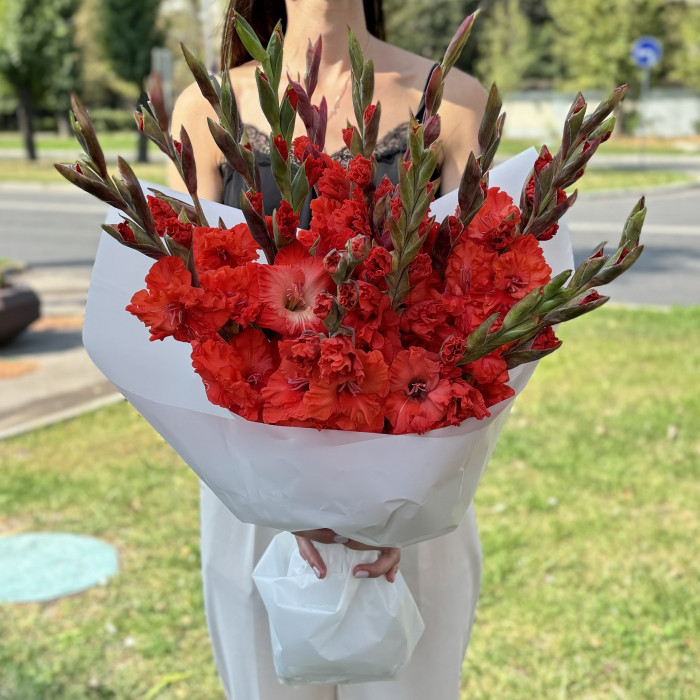 15 красных гладиолусов