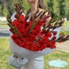 15 красных гладиолусов