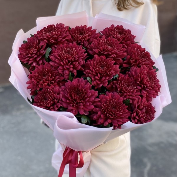 15 красных хризантем Ламира