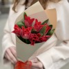 7 красных тюльпанов Ред дресс