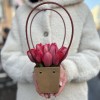 15 красных тюльпанов в сумочке