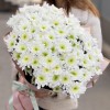 15 белых кустовых хризантем Коммандер
