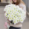 15 белых кустовых хризантем Коммандер