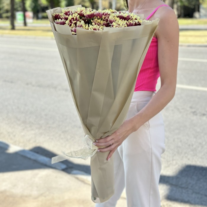 15 кустовых хризантем Хайдар Елоу