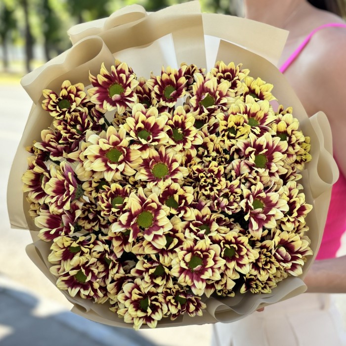 15 кустовых хризантем Хайдар Елоу