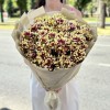 15 кустовых хризантем Хайдар Елоу