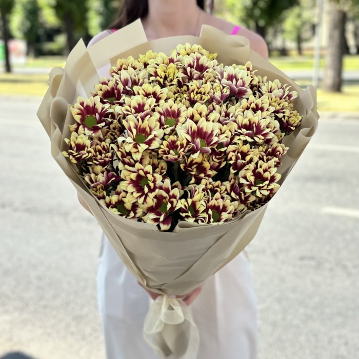 15 кустовых хризантем Хайдар Елоу