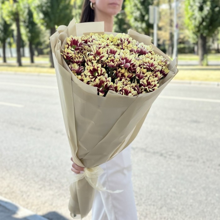 15 кустовых хризантем Хайдар Елоу