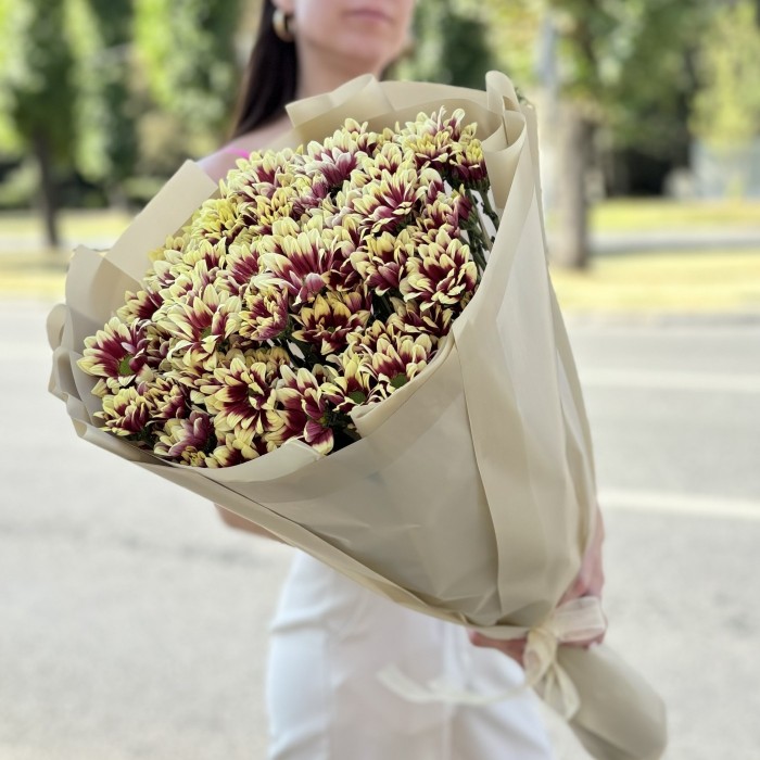 15 кустовых хризантем Хайдар Елоу