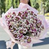 15 кустовых хризантем Саба