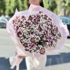 15 кустовых хризантем Саба