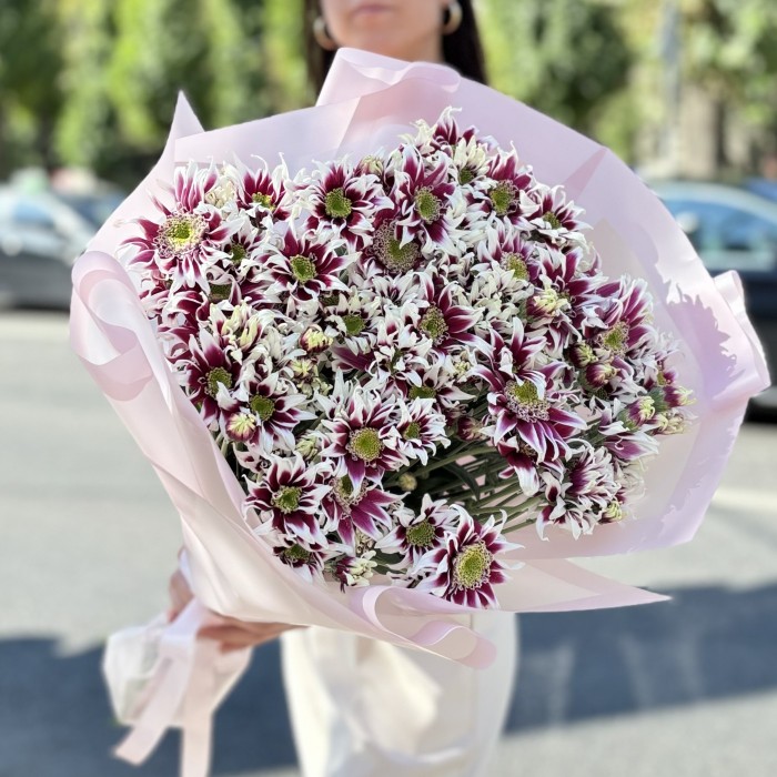 15 кустовых хризантем Саба