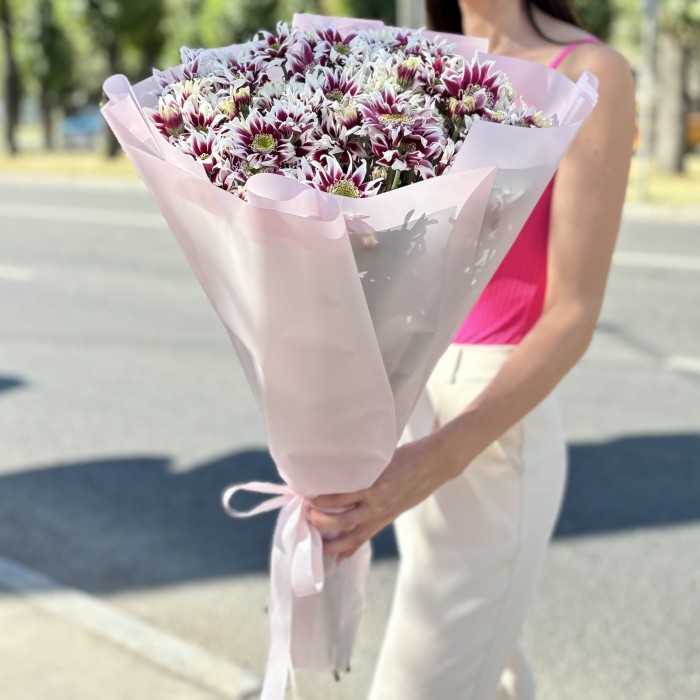 15 кустовых хризантем Саба