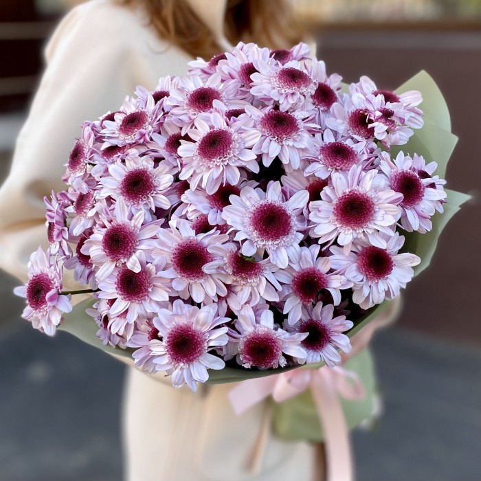 15 кустовых хризантем Стреза