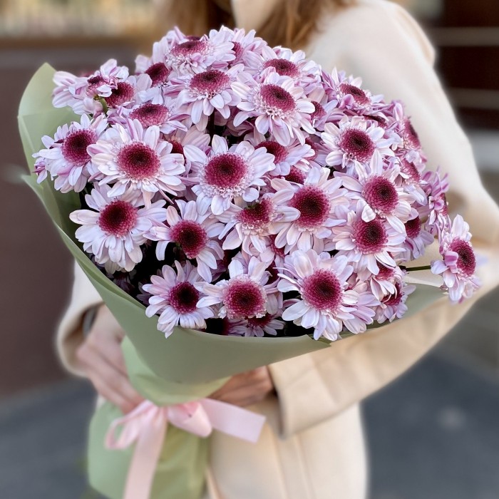 15 кустовых хризантем Стреза