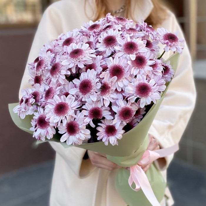 15 кустовых хризантем Стреза