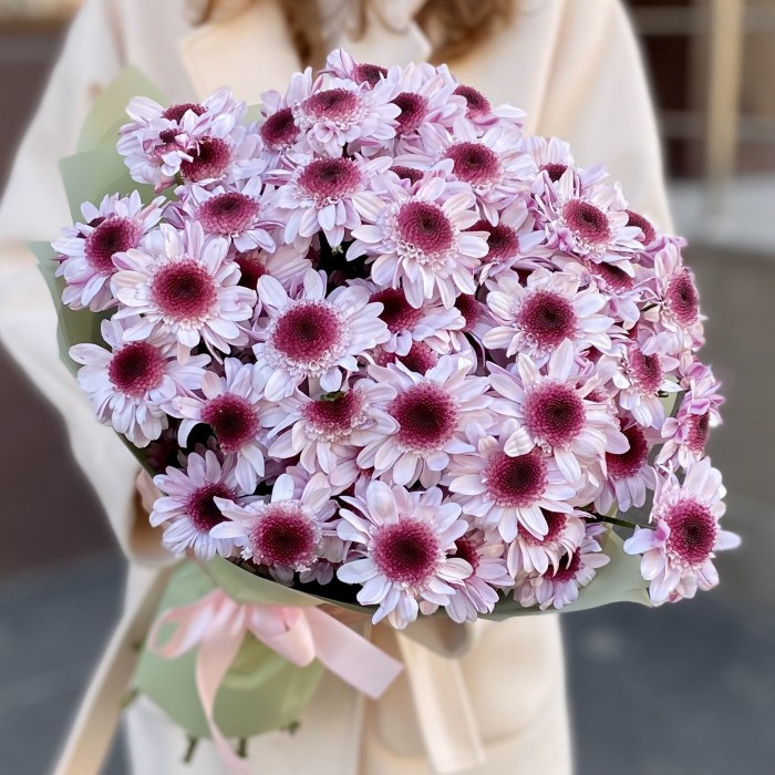 15 кустовых хризантем Стреза