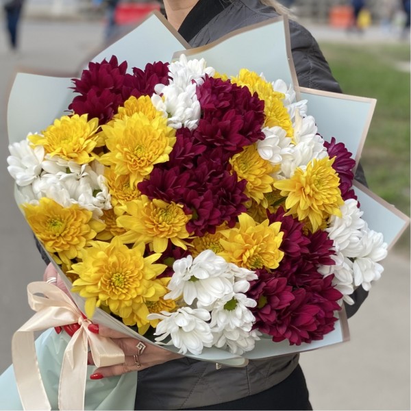 15 кустовых хризантем яркий микс
