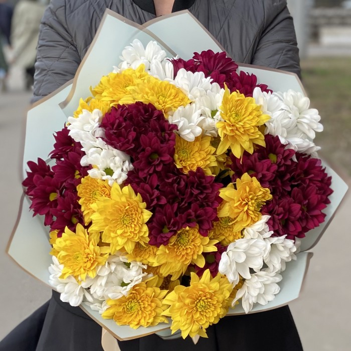 15 кустовых хризантем яркий микс