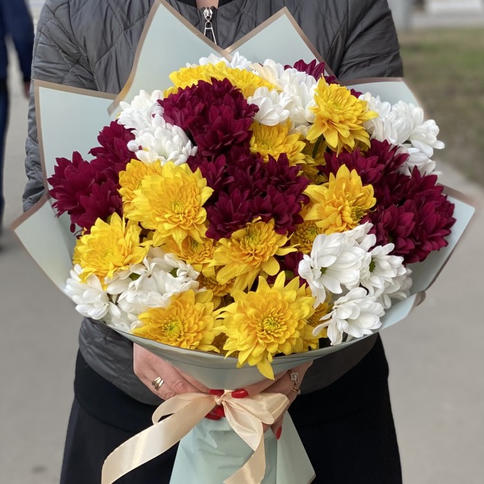 15 кустовых хризантем яркий микс