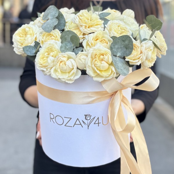 15 кустовых пионовидных кремовых роз Джульетта с эвкалиптом в коробке