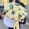 15 кустовых пионовидных кремовых роз Джульетта с эвкалиптом в коробке