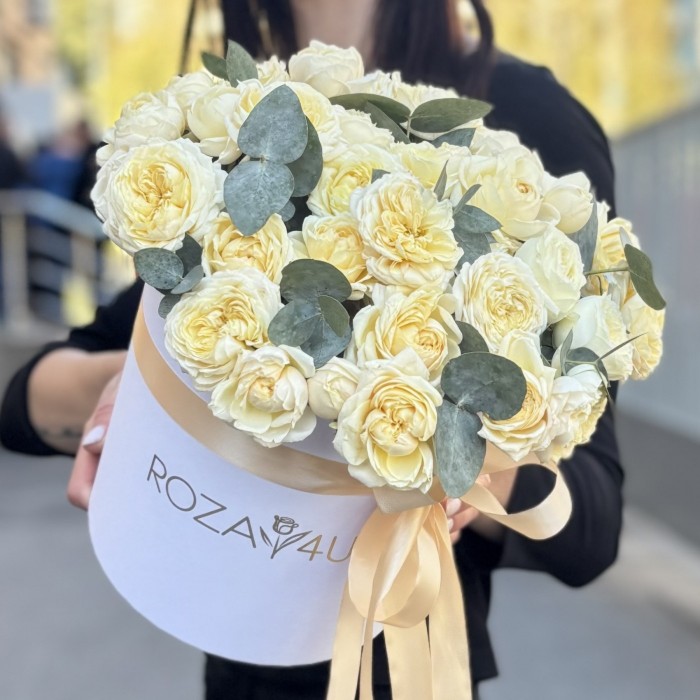 15 кустовых пионовидных кремовых роз Джульетта с эвкалиптом в коробке