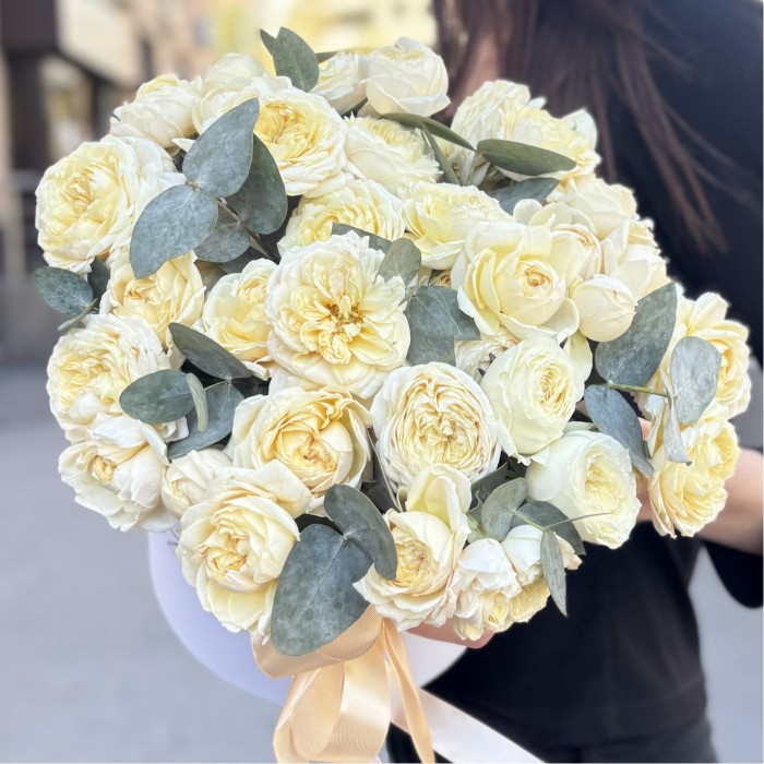 15 кустовых пионовидных кремовых роз Джульетта с эвкалиптом в коробке