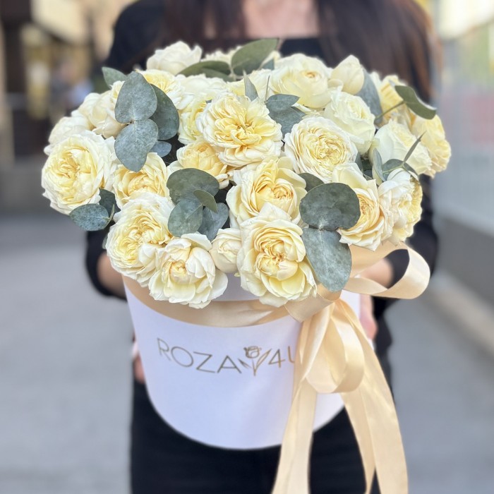 15 кустовых пионовидных кремовых роз Джульетта с эвкалиптом в коробке