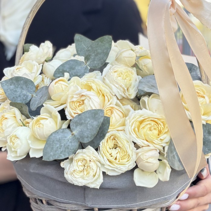 15 кустовых пионовидных кремовых роз Джульетта с эвкалиптом в корзине