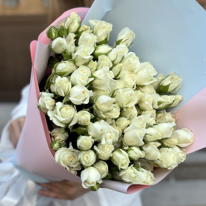 15 кустовых роз Сноу Бабл 80 см в упаковке