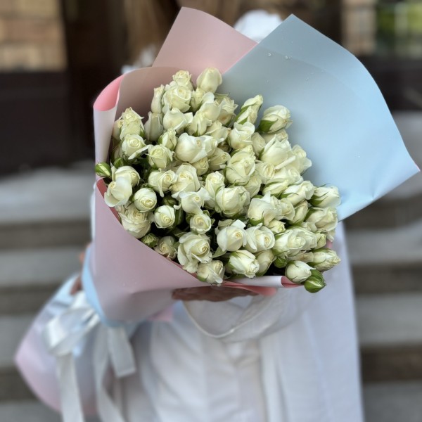 15 кустовых роз Сноу Бабл 80 см в упаковке