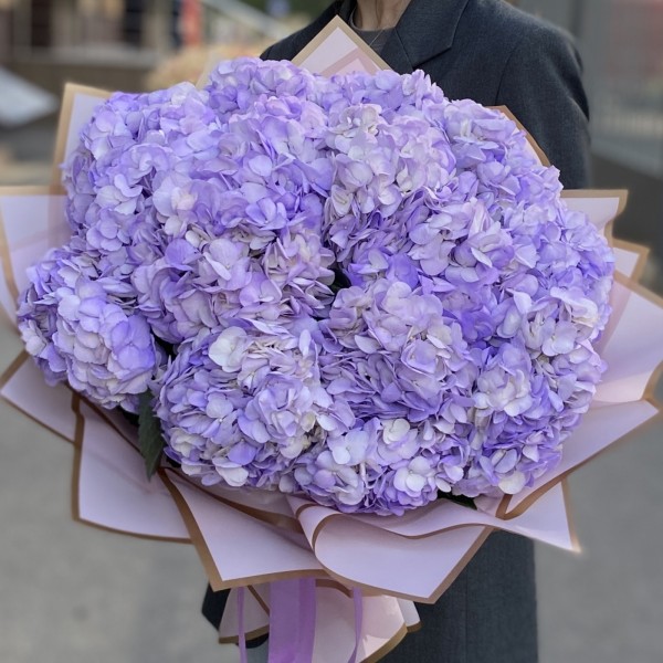 15 лавандовых гортензий