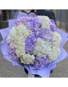 15 лавандовых и белых гортензий