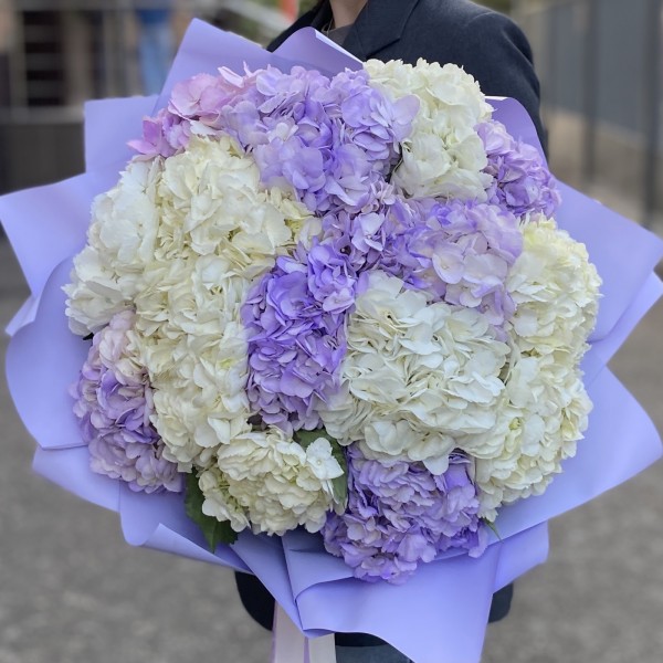 15 лавандовых и белых гортензий